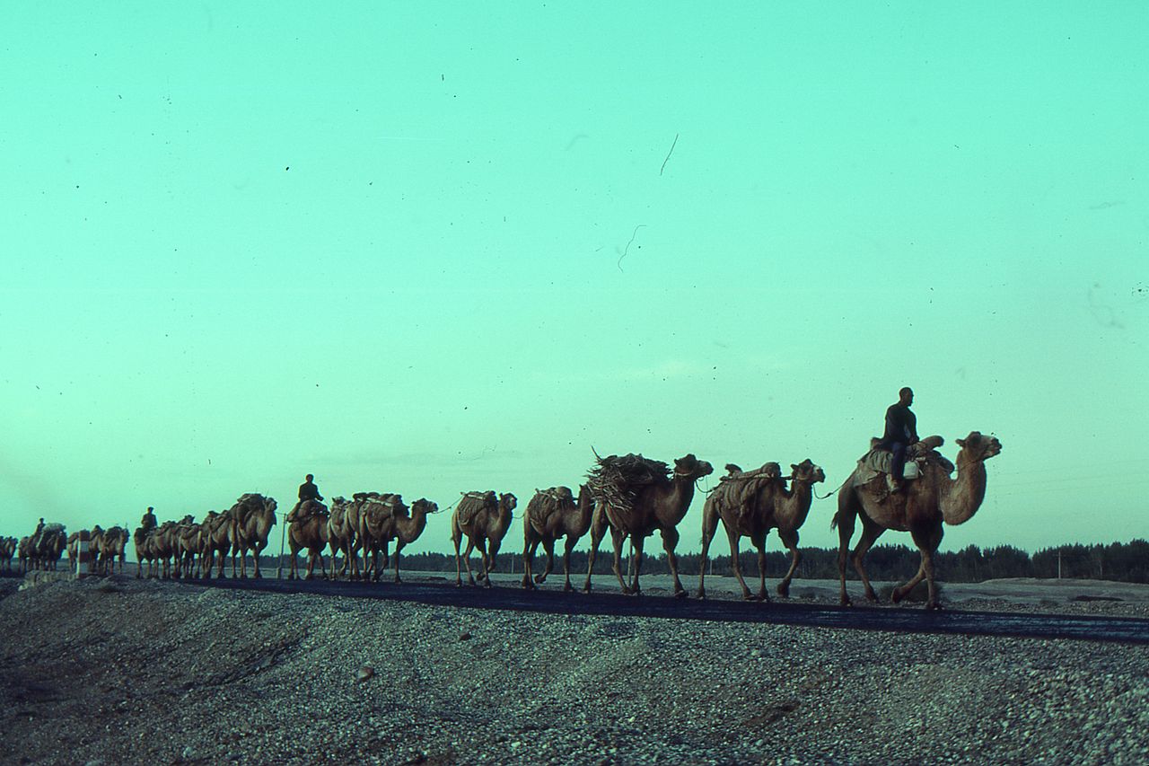 Silk road